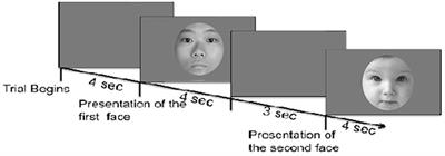Effects of Baby Schema and Mere Exposure on Explicit and Implicit Face Processing